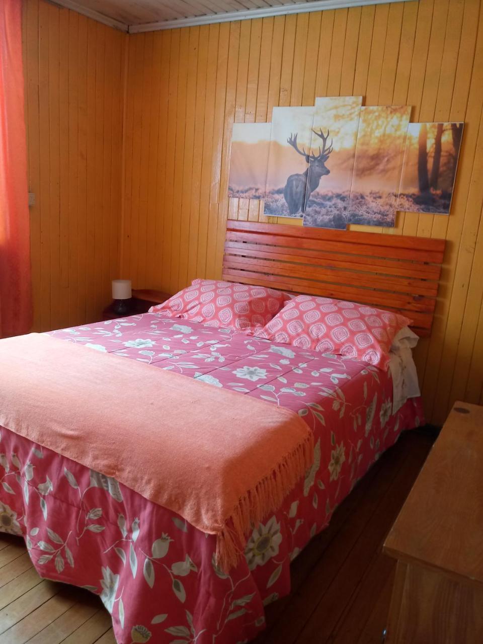 Hostal Valdivia Ngoại thất bức ảnh